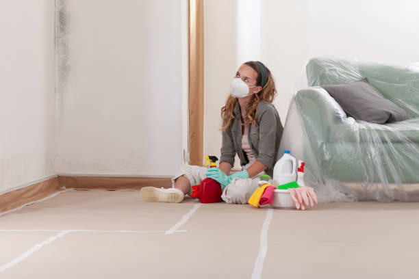 Mold Removal service in Port Reading